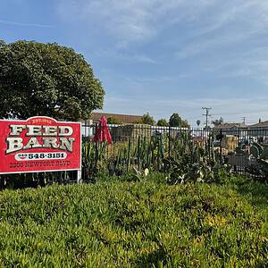 FEED BARN COSTA MESA
