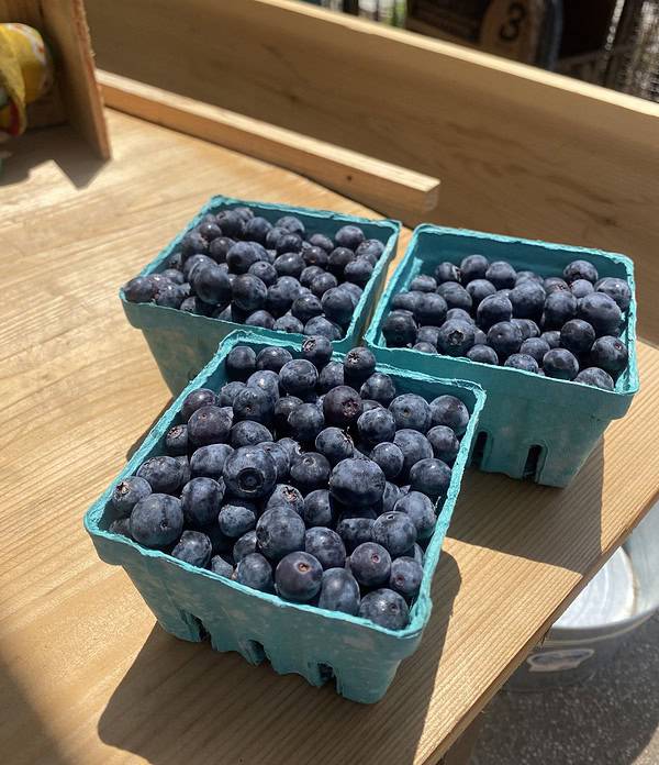 Photo of blueberries