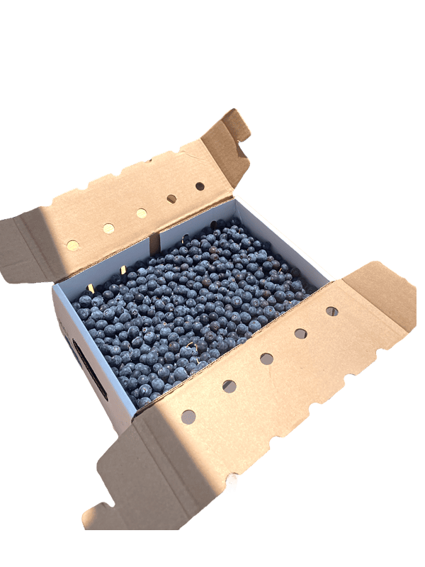 10 lb box of organic blueberries