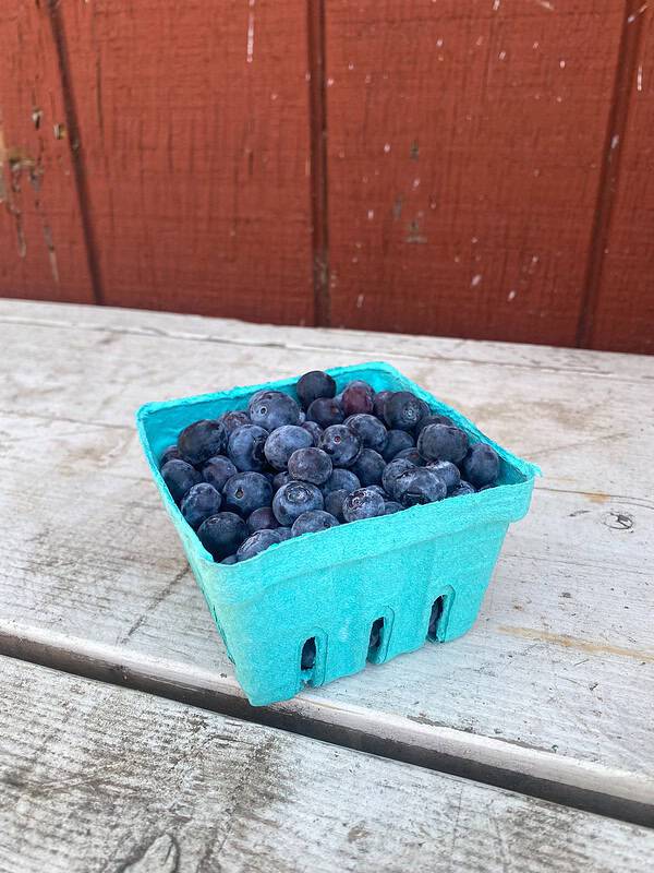 1 small blueberry box