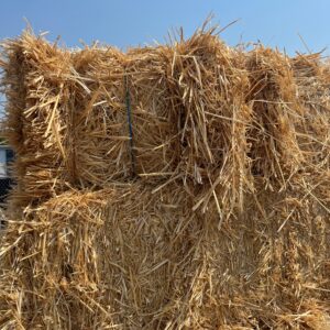 Straw Bale