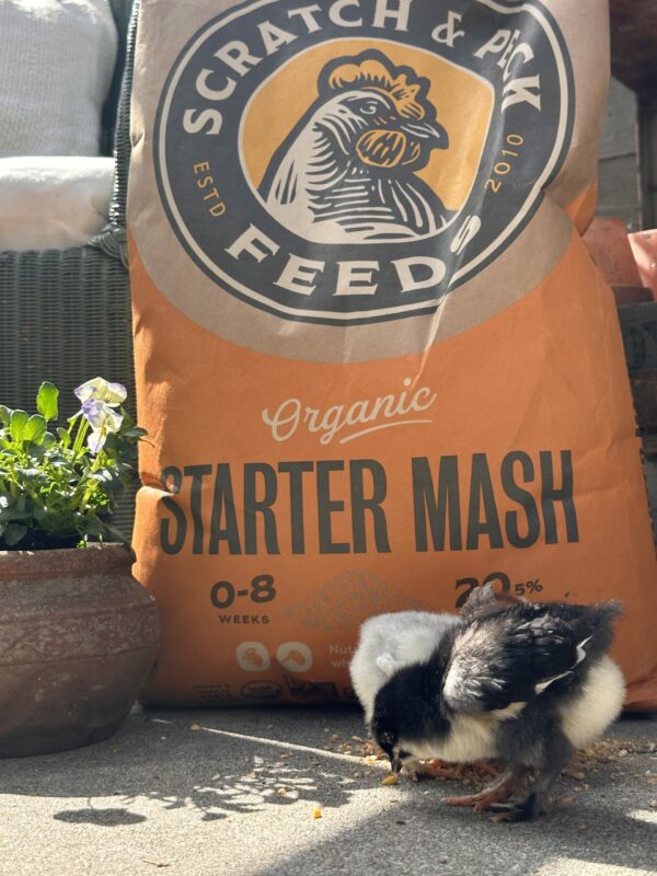 photo of Starter Mash product front of bag