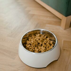 Pet Supplies