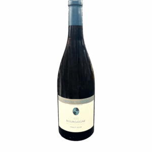 Domaine Michele et Patrice Rion Bourgogne Pinot Noir