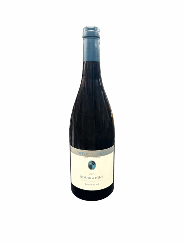 Domaine Michele et Patrice Rion Bourgogne Pinot Noir